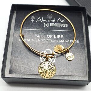Alex And Ani Energy Path Of Life Gold Charm Bracelet In Box 2012